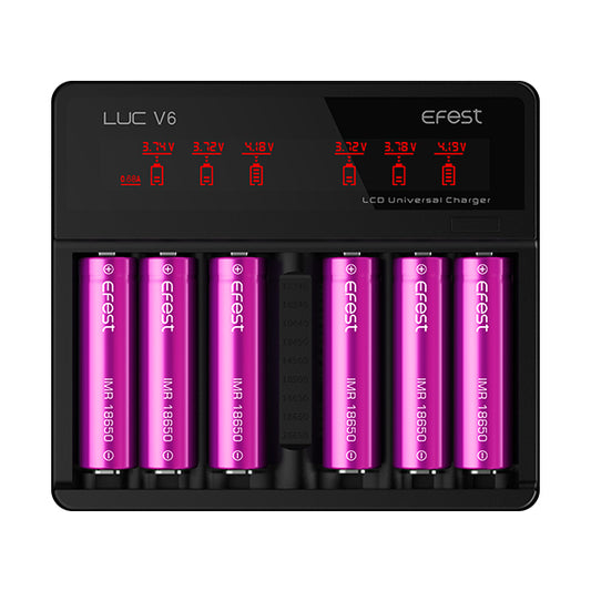 Efest Luc V6 Charger